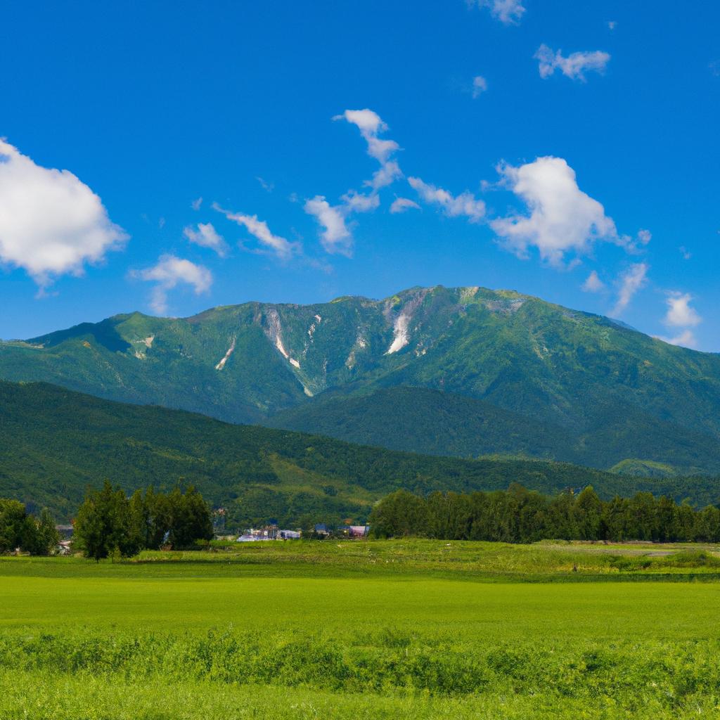 長野県でイベントをお考えならお任せください！