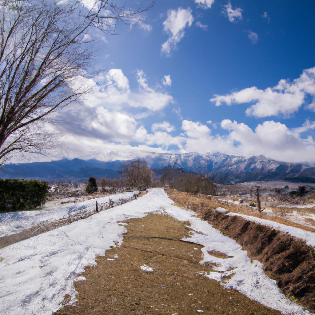 長野県でのコンサート企画は私たちにお任せ！